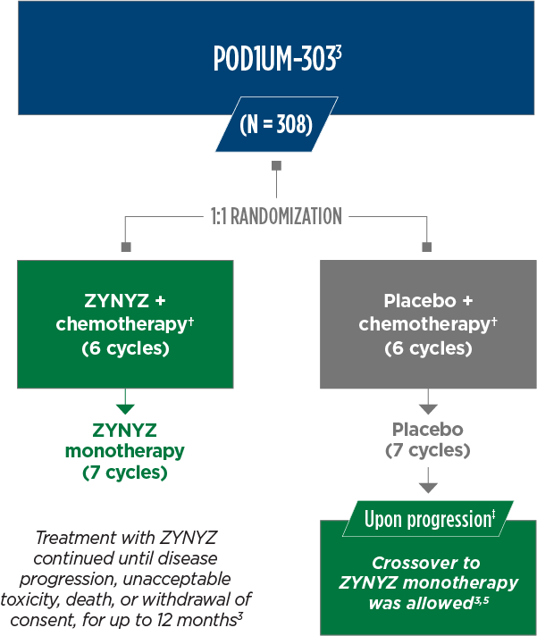A chart depicting the POD1UM-303 study design, including the 1:1 randomization process of its 308 total patients into either the ZYNYZ® + chemotherapy group or the placebo + chemotherapy group to receive 6 cycles of their respective combination therapy, followed by 7 cycles of monotherapy with either ZYNYZ or placebo—with some patients in the placebo group being crossed over to ZYNYZ monotherapy if their SCAC progressed.  Meanwhile, treatment with ZYNYZ continued for up to 12 months, or until the SCAC progr