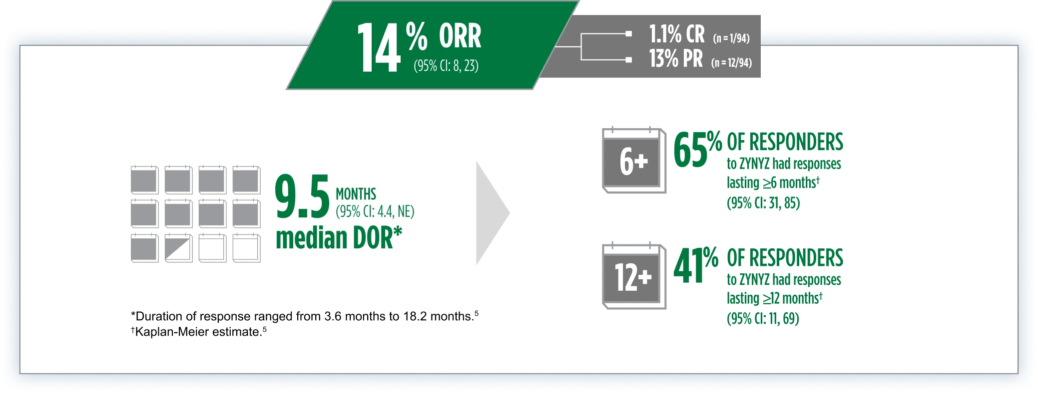 A chart depicting the durability of ZYNYZ® as a monotherapy for 2L locally recurrent or metastatic SCAC, highlighting a 14% ORR (95% CI: 8, 23)—with 1.1% CR (n = 1/94) and 13% PR (n = 12/94).  It also highlights a 9.5 months (95% CI: 4.4, NE) median DOR, with 65% of patients who received ZYNYZ having responses that lasted 6 months or more (95% CI: 31, 85) and 41% of ZYNYZ patients having responses that lasted 12 months or longer (95% CI: 11, 69).